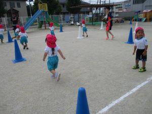 IMG_2775 IMG_2775