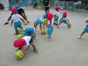 IMG_2786 IMG_2786