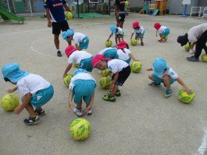 IMG_3147 IMG_3147