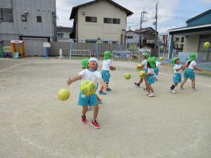 IMG_5371 IMG_5371