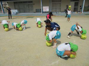 IMG_5381 IMG_5381