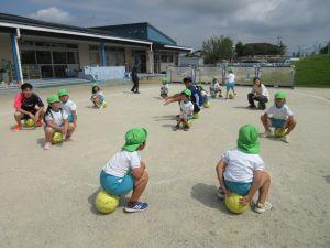 IMG_5382 IMG_5382