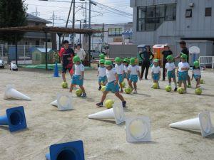 IMG_5395 IMG_5395
