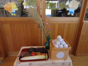 IMG_5603 IMG_5603