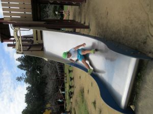 IMG_6589