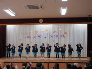 IMG_8040 IMG_8040
