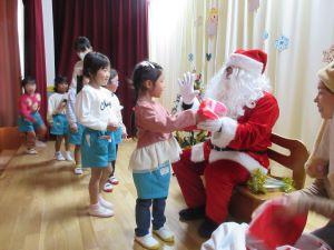 IMG_8395 IMG_8395