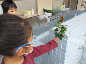 IMG_9801 IMG_9801