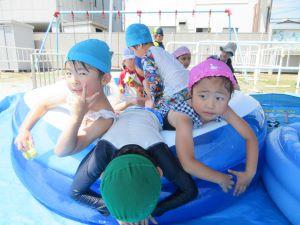 IMG_2901(1) IMG_2901(1)
