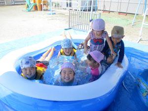 IMG_6560(1) IMG_6560(1)