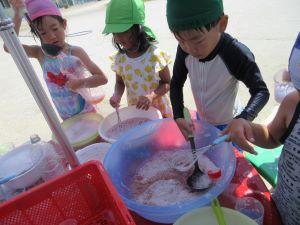 IMG_2906(1) IMG_2906(1)