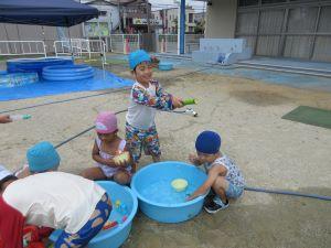 IMG_2956(1) IMG_2956(1)