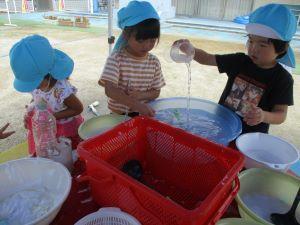 IMG_6510(1) IMG_6510(1)