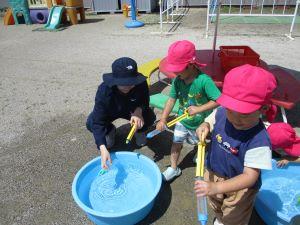 IMG_4575 IMG_4575