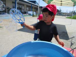 IMG_4612 IMG_4612