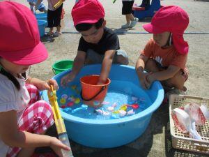 IMG_4618 IMG_4618