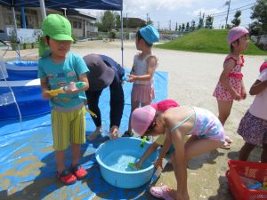 IMG_2749 IMG_2749