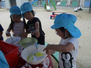IMG_6509 IMG_6509