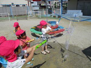 IMG_4616 IMG_4616