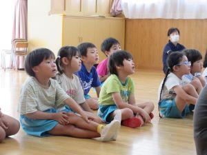IMG_3520 IMG_3520