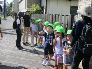 IMG_7291 IMG_7291