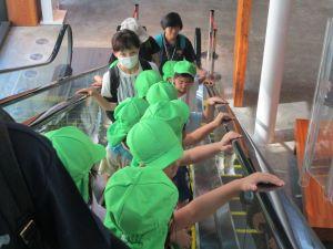 IMG_7304(1) IMG_7304(1)