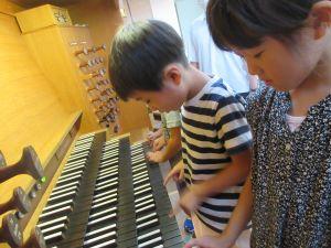 IMG_3675(1) IMG_3675(1)
