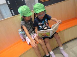 IMG_3655 IMG_3655