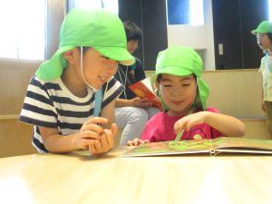 IMG_7311(1) IMG_7311(1)