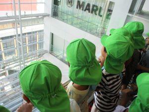 IMG_7358(1) IMG_7358(1)