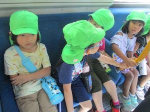 IMG_7362(1) IMG_7362(1)