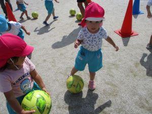 IMG_5199 IMG_5199