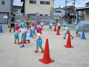 IMG_7493 IMG_7493