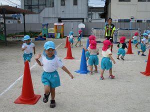 IMG_7494 IMG_7494