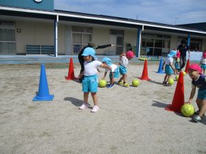 IMG_7524 IMG_7524