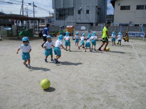 IMG_7534 IMG_7534