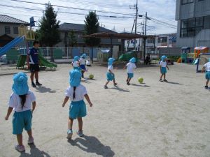 IMG_7536 IMG_7536
