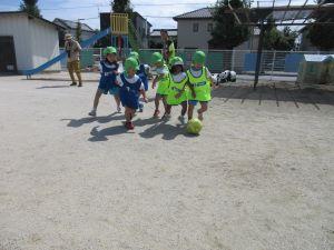 IMG_3856 IMG_3856