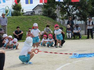 IMG_4312 IMG_4312