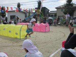IMG_4317 IMG_4317