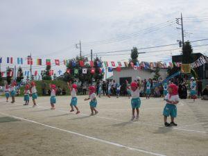 IMG_4350 IMG_4350