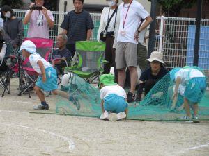 IMG_4448 IMG_4448