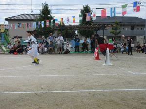 IMG_4337 IMG_4337