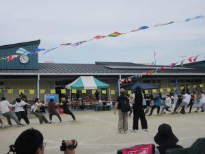 IMG_4520 IMG_4520