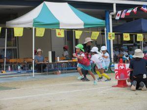 IMG_4551 IMG_4551