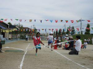IMG_4558 IMG_4558