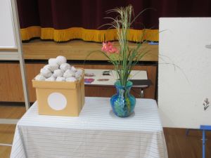 IMG_4613 IMG_4613
