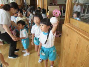 IMG_4630 IMG_4630