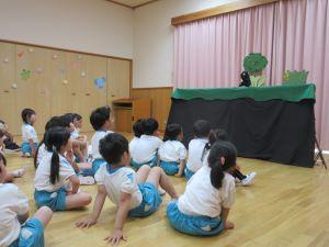 IMG_9135 IMG_9135