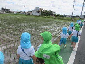 IMG_9168 IMG_9168